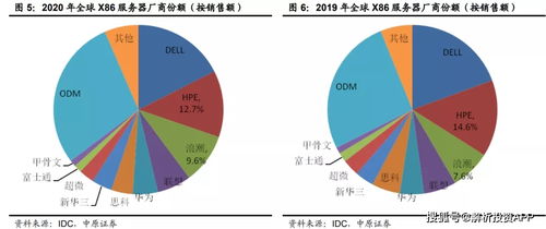 数字内容浪潮奔涌，服务器龙头迎风启航